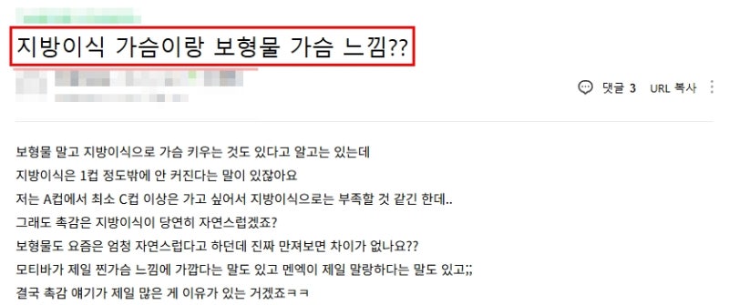 지방이식 가슴성형 vs 보형물, 어떤 게 더 좋을까요? 사진 3